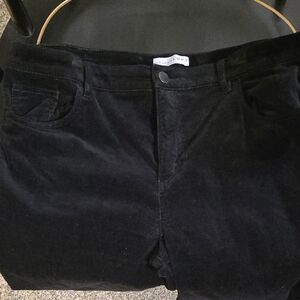 Black Crushed Velvet Pants Loft